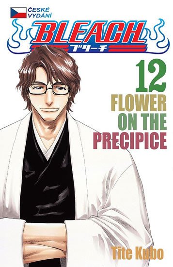 BLEACH 12 FLOWER ON THE PRECIPICE