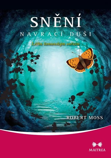 SNĚNÍ NAVRACÍ DUŠI - LÉČBA ŠAMANSKÝM SNĚNÍM