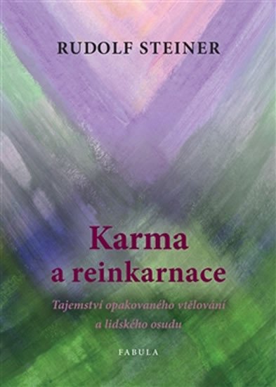 KARMA A REINKARNACE I