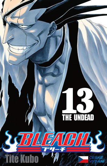 BLEACH 13