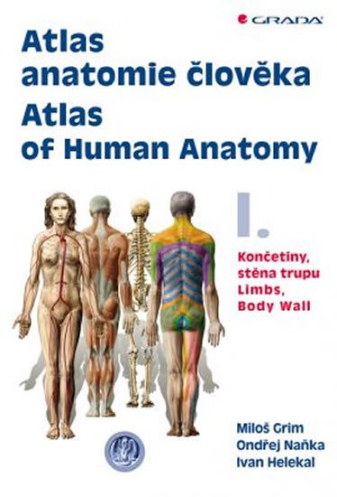 ATLAS ANATOMIE ČLOVĚKA I. KONČETINY, STĚ