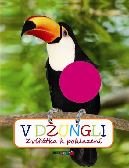 V DŽUNGLI - ZVÍŘÁTKA K POHLAZENÍ