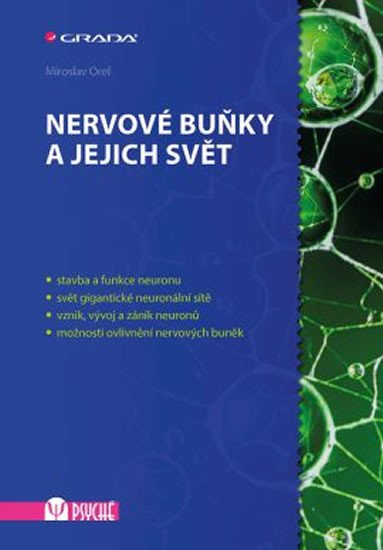 NERVOVÉ BUŇKY A JEJICH SVĚT