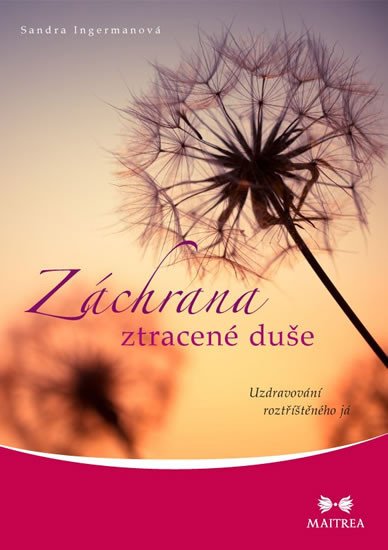 ZÁCHRANA ZTRACENÉ DUŠE - UZDRAVOVÁNÍ ROZTŘÍŠTĚNÉHO JÁ