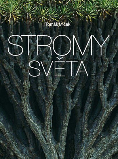 STROMY SVĚTA