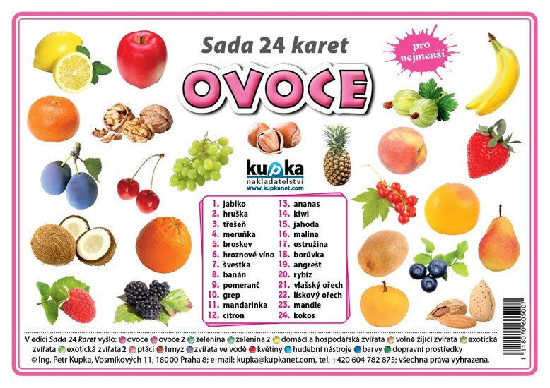 SADA 24 KARET-OVOCE