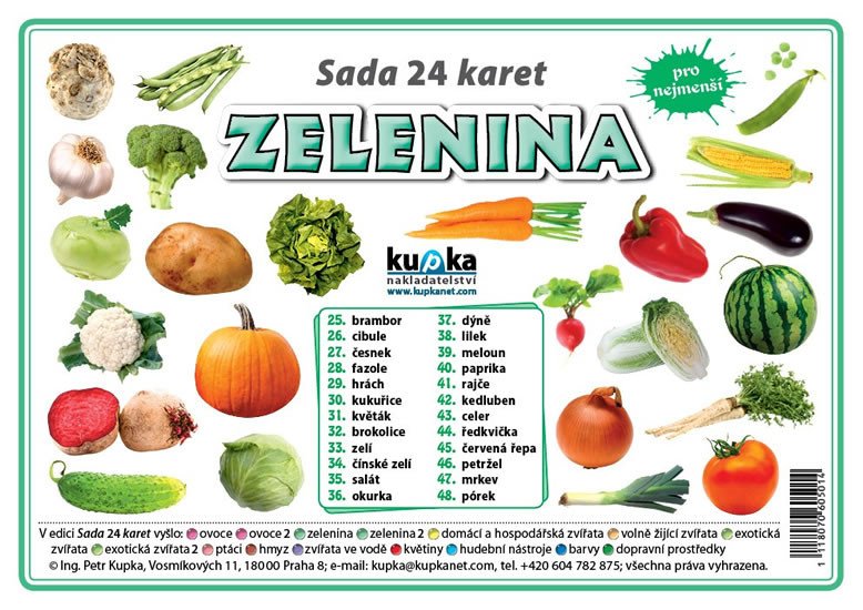 SADA 24 KARET-ZELENINA