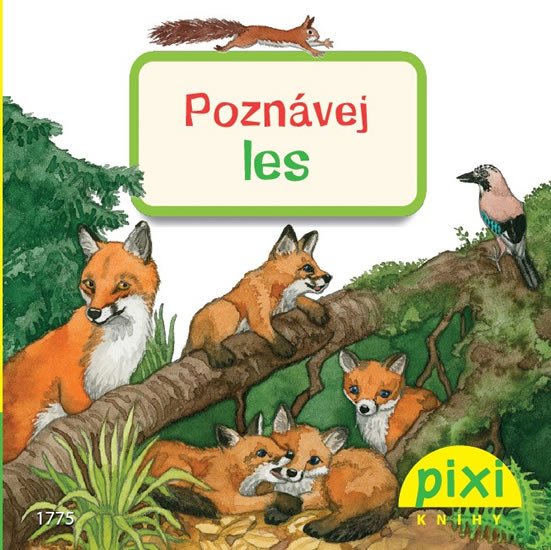 POZNÁVEJ LES