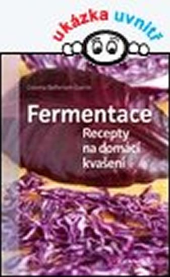 FERMENTACE RECEPTY NA DOMÁCÍ KVAŠENÍ