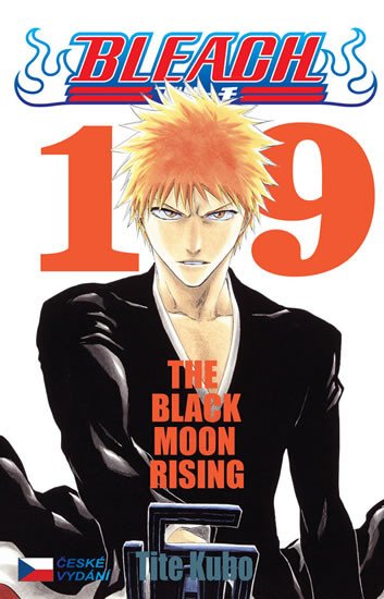 BLEACH 19