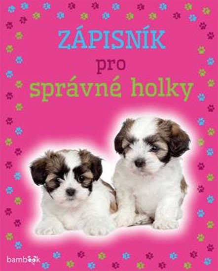 ZÁPISNÍK PRO SPRÁVNÉ HOLKY