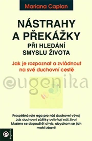 NÁSTRAHY A PŘEKÁŽKY PŘI HLEDÁNÍ SMYSLU ŽIVOTA