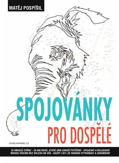 SPOJOVÁNKY PRO DOSPĚLÉ