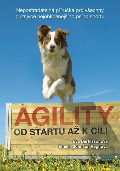 AGILITY OD STARTU AŽ K CÍLI