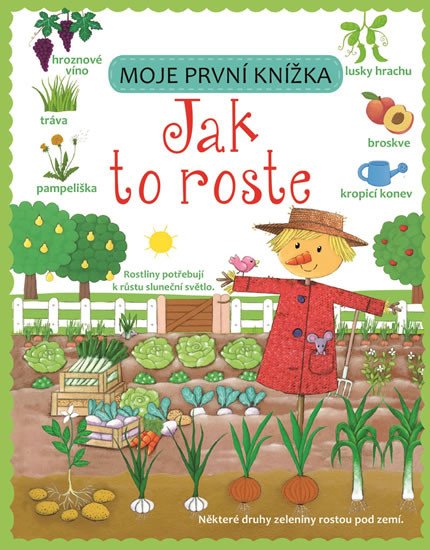 JAK TO ROSTE /MOJE PRVNÍ KNÍŽKA/