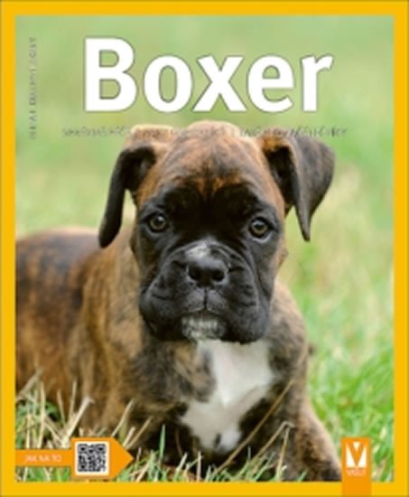 BOXER (JAK NA TO)
