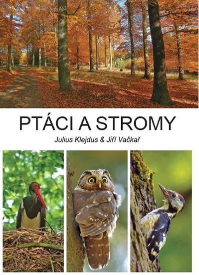 PTÁCI A STROMY