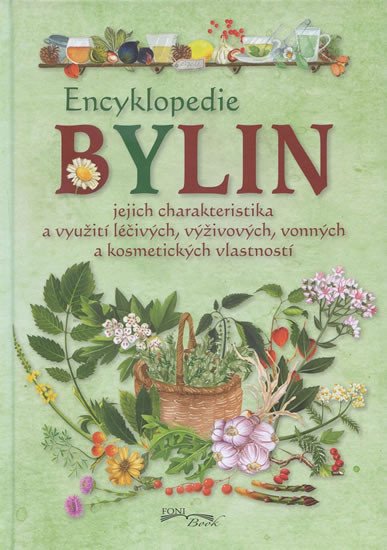 ENCYKLOPEDIE BYLIN - JEJICH CHARAKTERISTIKA...