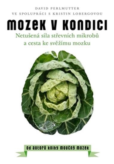 MOZEK V KONDICI