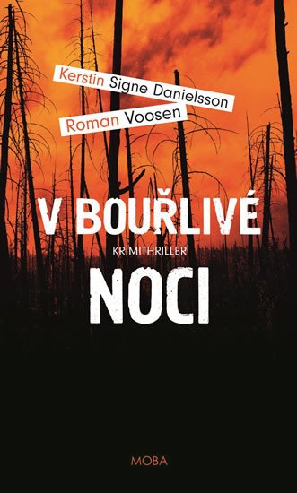 V BOUŘLIVÉ NOCI