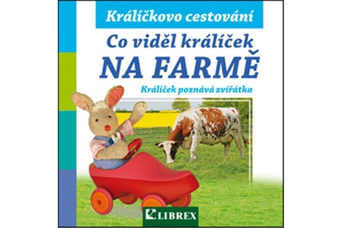 Obálka knihy