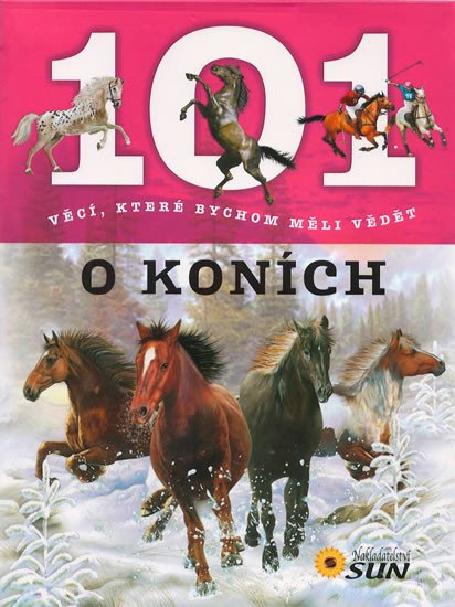 O KONÍCH 101 VĚCÍ,KTERÉ BYCHOM MĚLI VĚDĚT