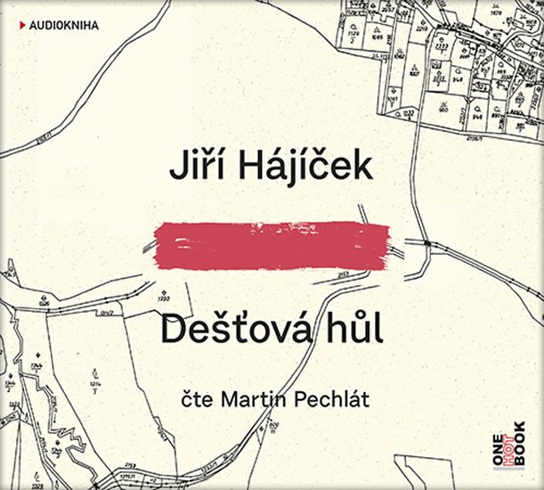 DEŠŤOVÁ HŮL CDMP3 (AUDIO)