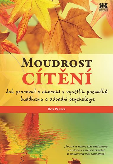 MOUDROST CÍTĚNÍ - JAK PRACOVAT S EMOCEMI