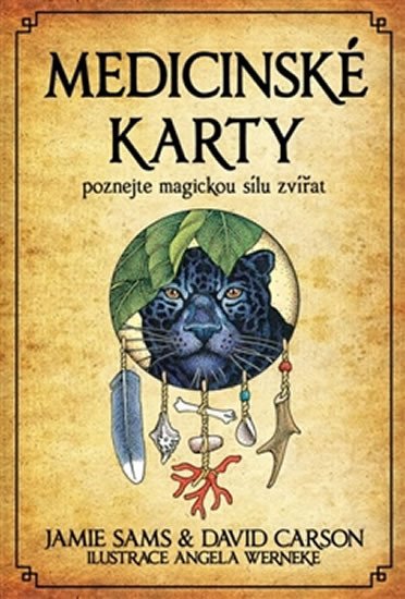 MEDICINSKÉ KARTY