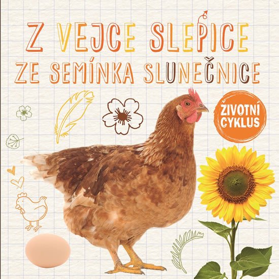 Z VEJCE SLEPICE,ZE SEMÍNKA SLUNEČNICE - ŽIVOTNÍ CYKLUS