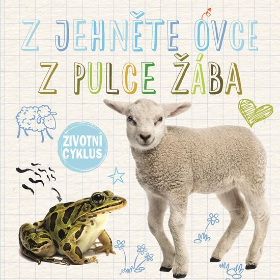 Z JEHNĚTE OVCE, Z PULCE ŽÁBA - ŽIVOTNÍ CYKLUS