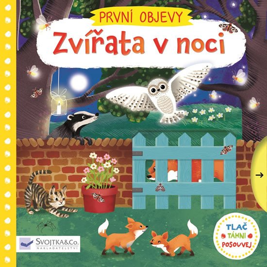 ZVÍŘATA V NOCI-PRVNÍ OBJEVY