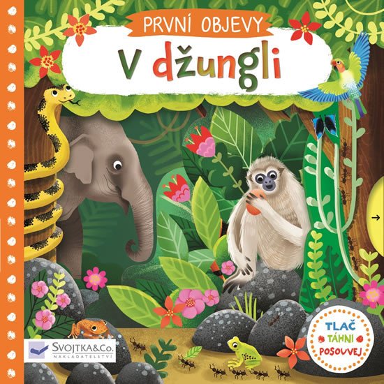 V DŽUNGLI-PRVNÍ OBJEVY