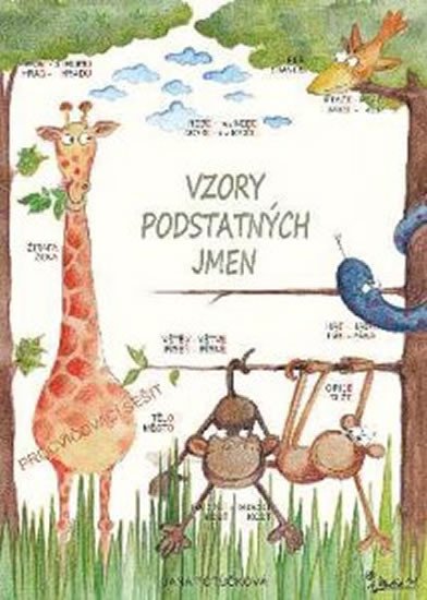 VZORY PODSTATNÝCH JMEN - PROCVIČOVACÍ SEŠIT