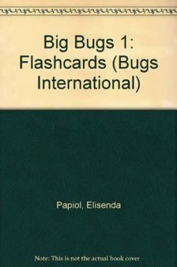 BIG BUGS 1 FLASHCARDS