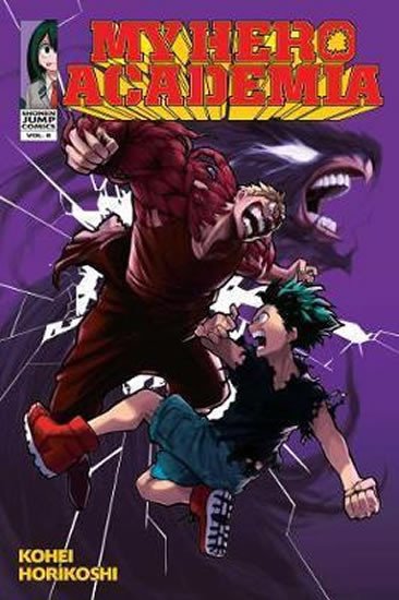 MY HERO ACADEMIA 9