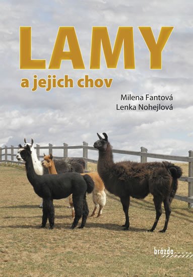 LAMY A JEJICH CHOV