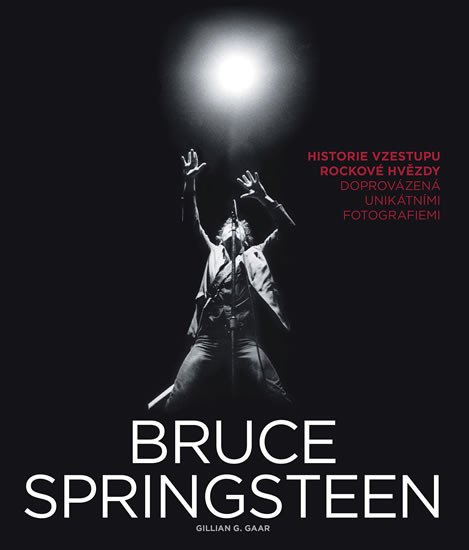 BRUCE SPRINGSTEEN