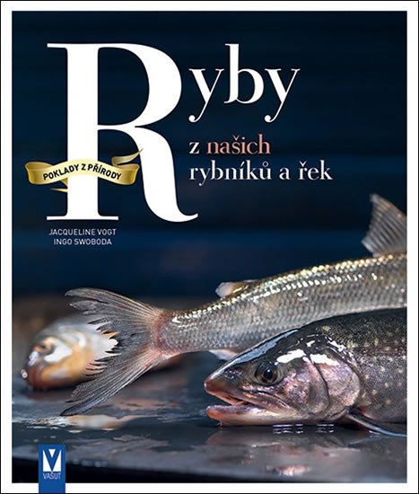 RYBY Z NAŠICH RYBNÍKŮ A ŘEK