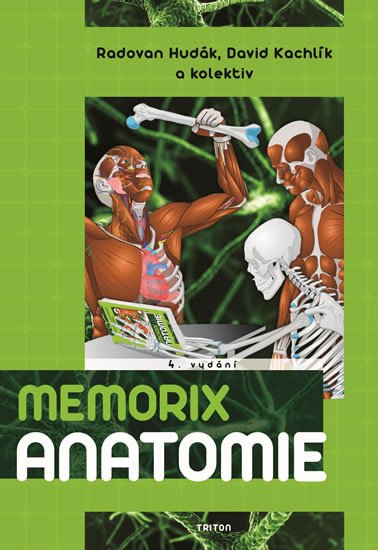 MEMORIX ANATOMIE