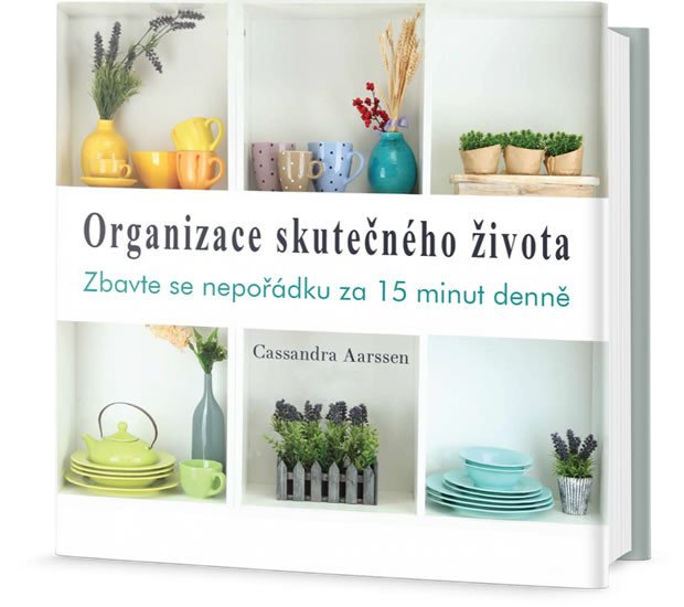 ORGANIZACE SKUTEČNÉHO ŽIVOTA