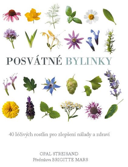 POSVÁTNÉ BYLINKY - 40 LÉČIVÝCH ROSTLIN PRO ZLEPŠENÍ NÁLADY