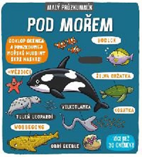 MALÝ PRŮZKUMNÍK-POD MOŘEM