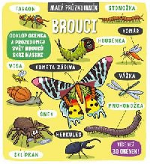 MALÝ PRŮZKUMNÍK-BROUCI