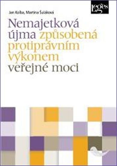 NEMAJETKOVÁ ÚJMA ZPŮSOBENÁ PROTIPRÁVNÍM VÝKONEM VEŘEJNÉ MOCI