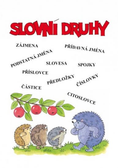 SLOVNÍ DRUHY