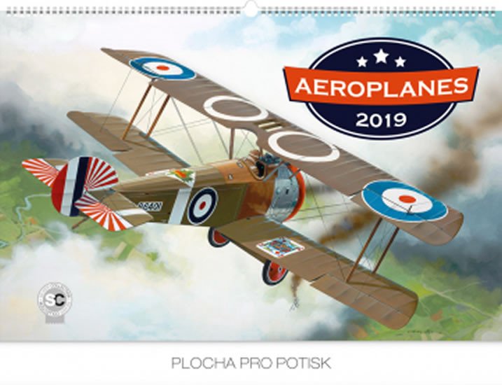 2019 AEROPLANES NÁSTĚNNÝ