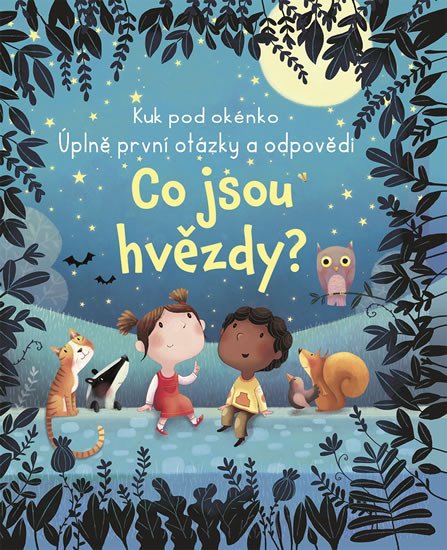 CO JSOU HVĚZDY?