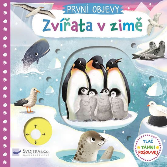 ZVÍŘATA V ZIMĚ - PRVNÍ OBJEVY