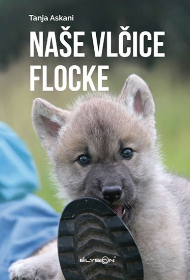 NAŠE VLČICE FLOCKE